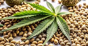 The Promising Horizons of Future 1 Strain The Promising Horizons of Future 1 Strain