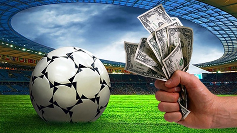 Discover Exciting Opportunities with Betwinner Discover Exciting Opportunities with Betwinner