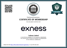 Exness Broker For Beginners - Your Complete Guide